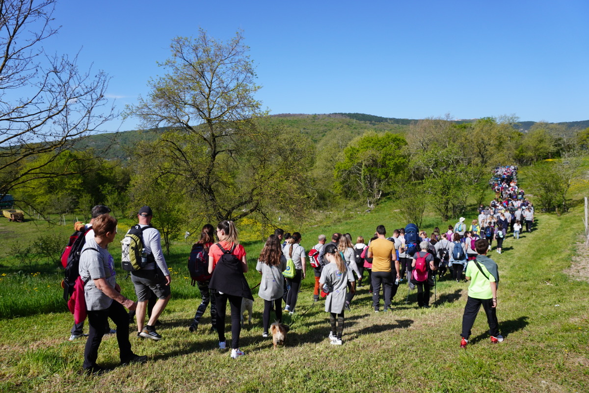 Održana 9. javnozdravstvena pješačka manifestacija